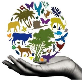 Biodiversity is in our hands